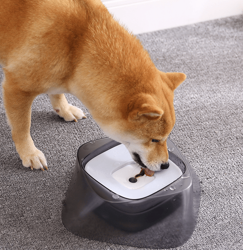Splashguard Pet Water Bowl